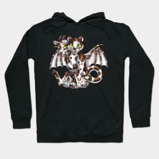 Chimera Cubs: Chocoate Bicolor Tabby Hoodie